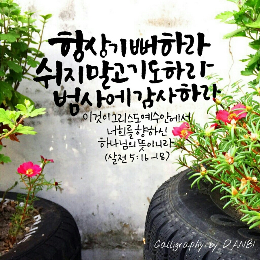 [단비멋글씨]항상 기뻐하라 말씀묵상캘리그라피 : 네이버 블로그