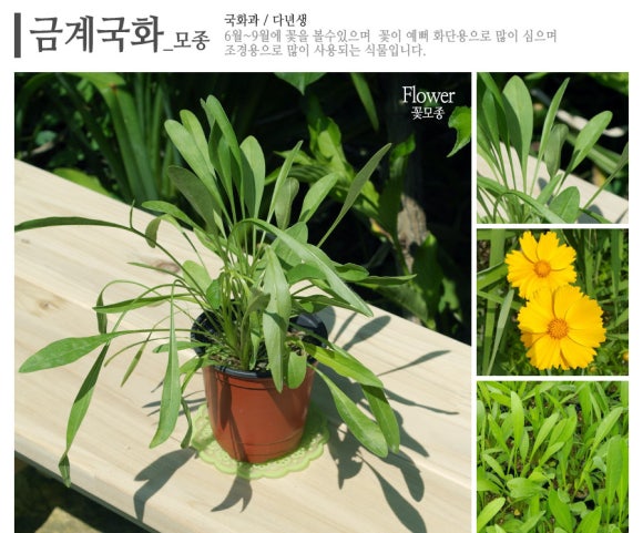 해남두륜산농원 이미지