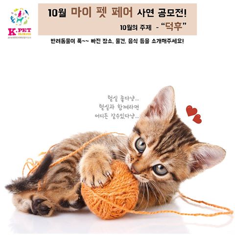 케이모찌 이미지
