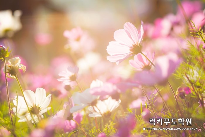스포츠무도학원 이미지