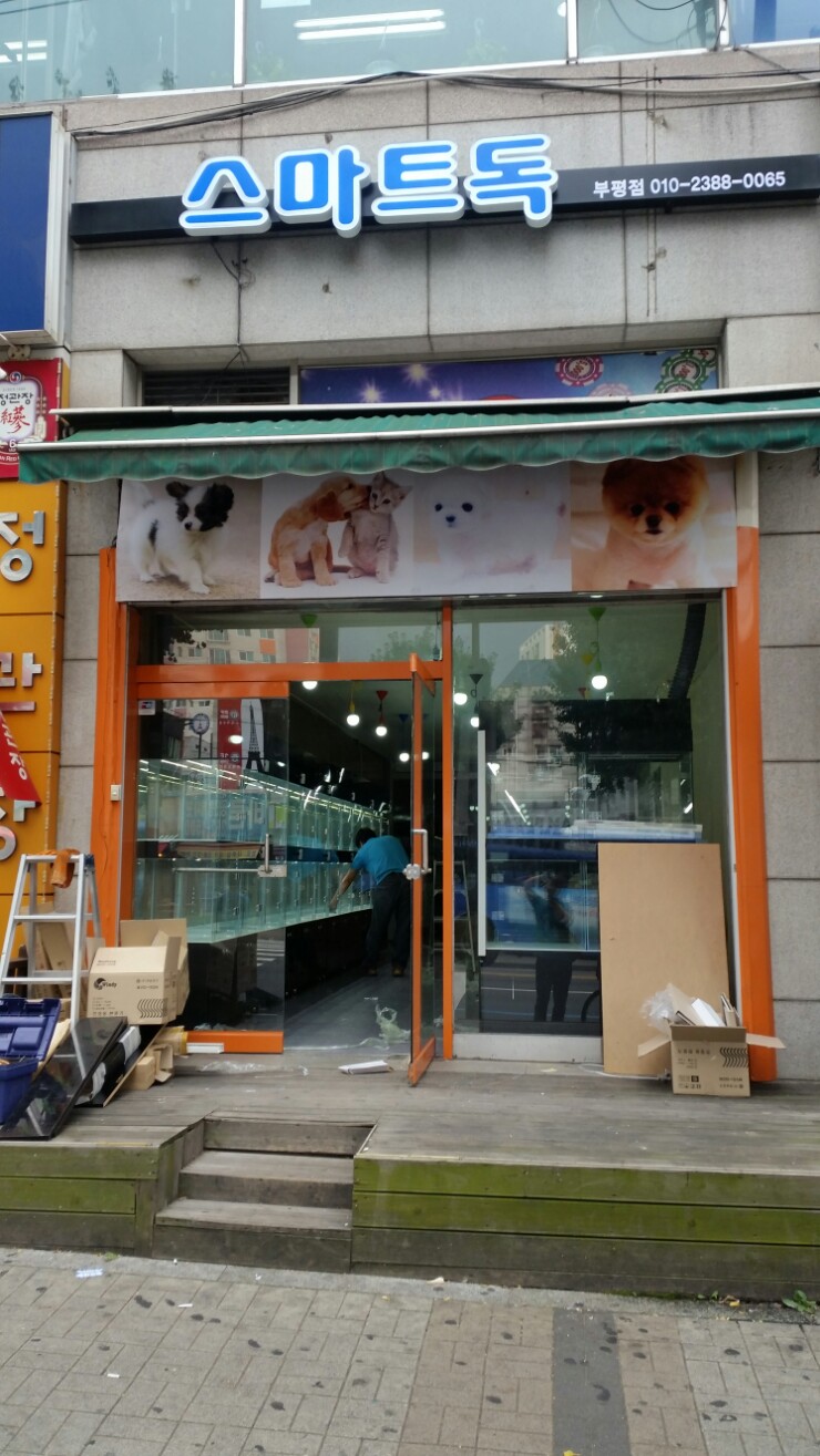 스마트독 이미지
