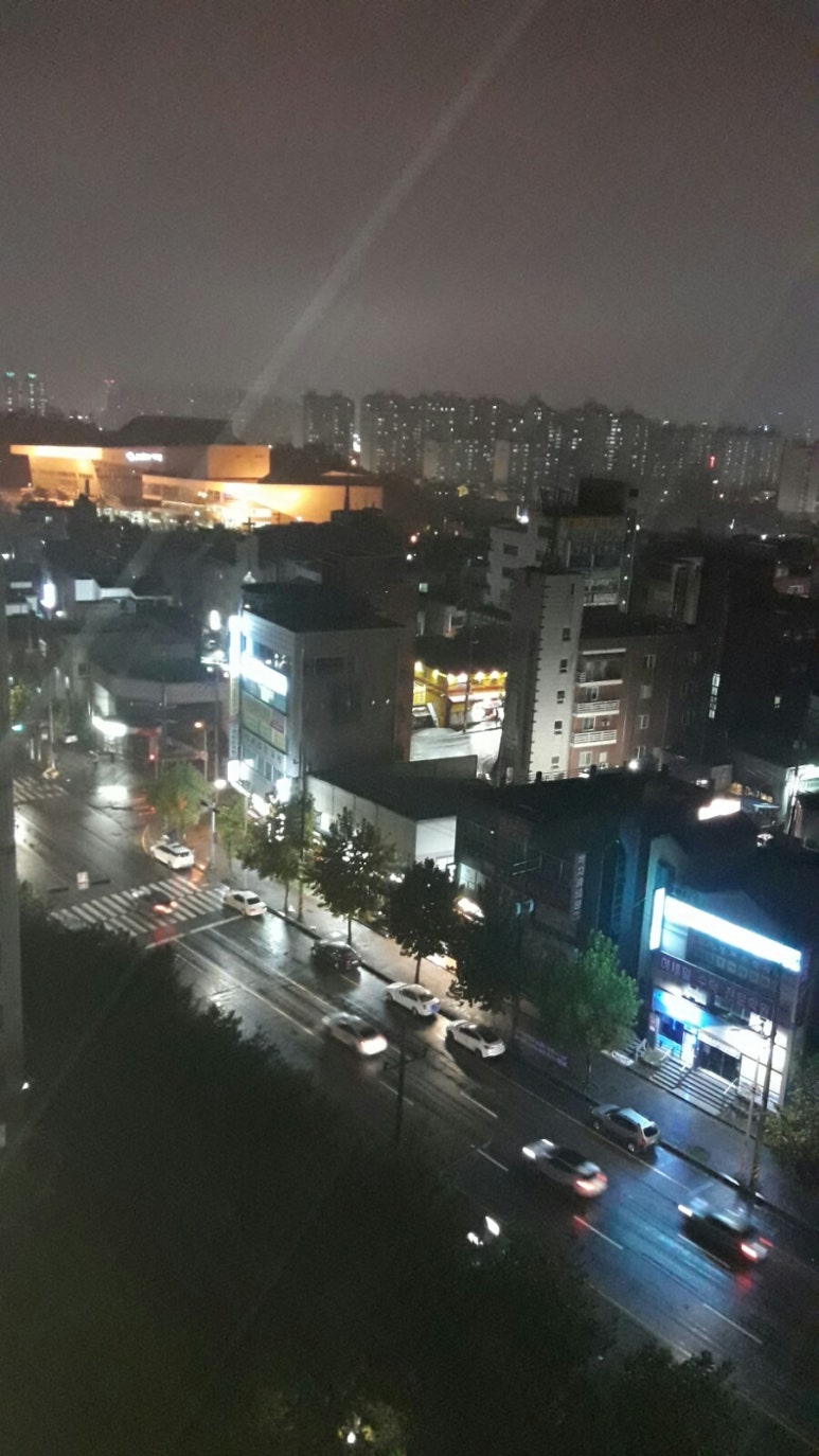 솜리치킨나운 이미지