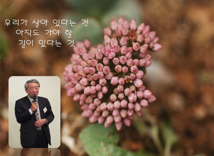 세종기술단 이미지