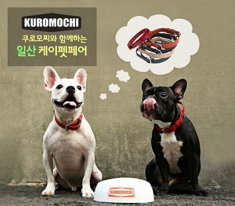 케이모찌 이미지