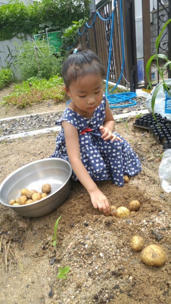 수정어린이집 이미지