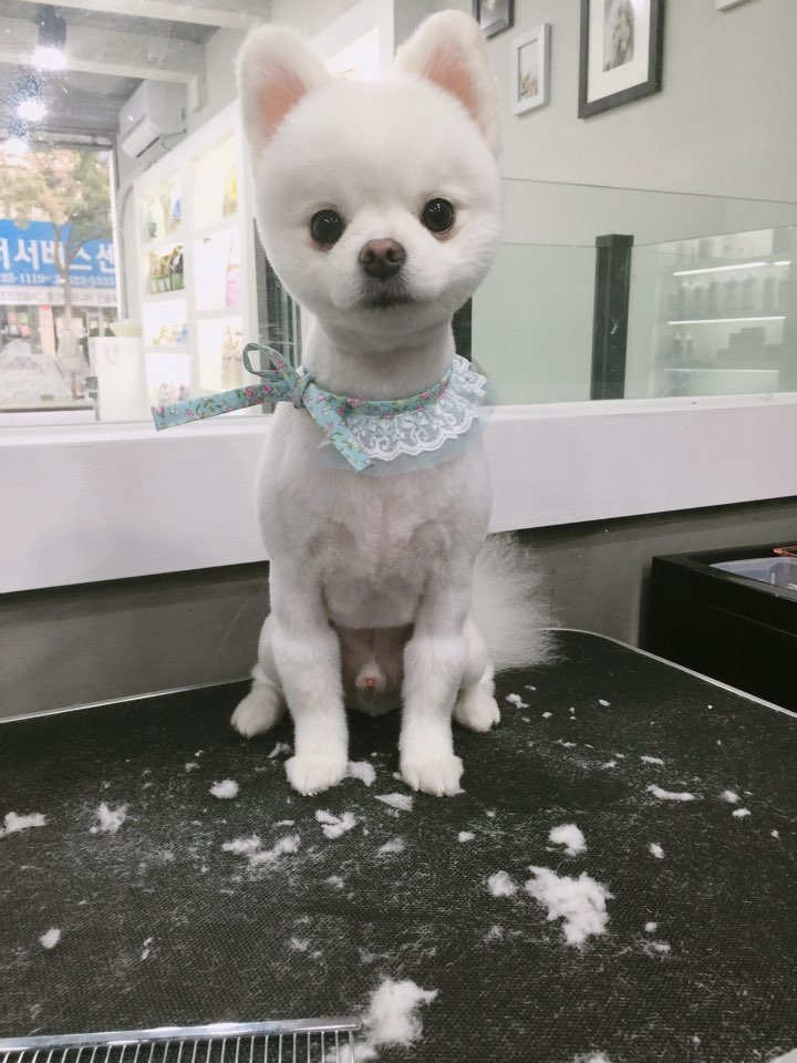 해피하비 이미지