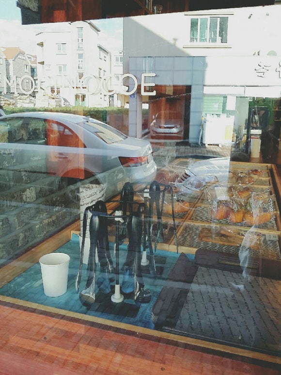 모리노코에 이미지