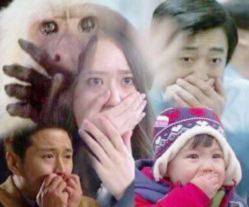 파파돈 이미지
