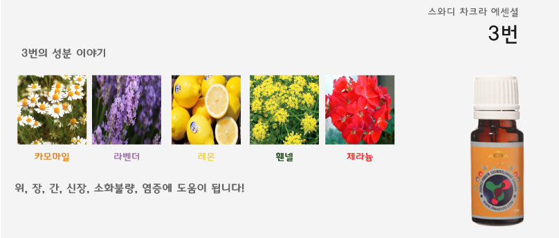 차크라에스테틱 이미지