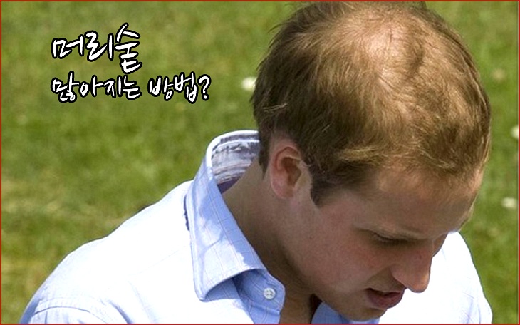 머리가사람을만든다 이미지