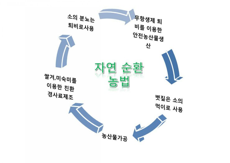 자연순환 이미지