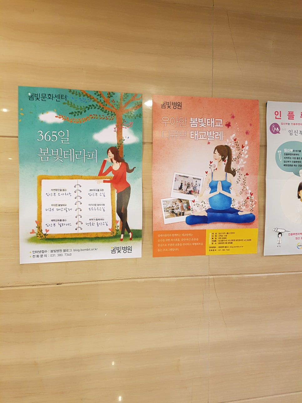 봄빛테라피 이미지