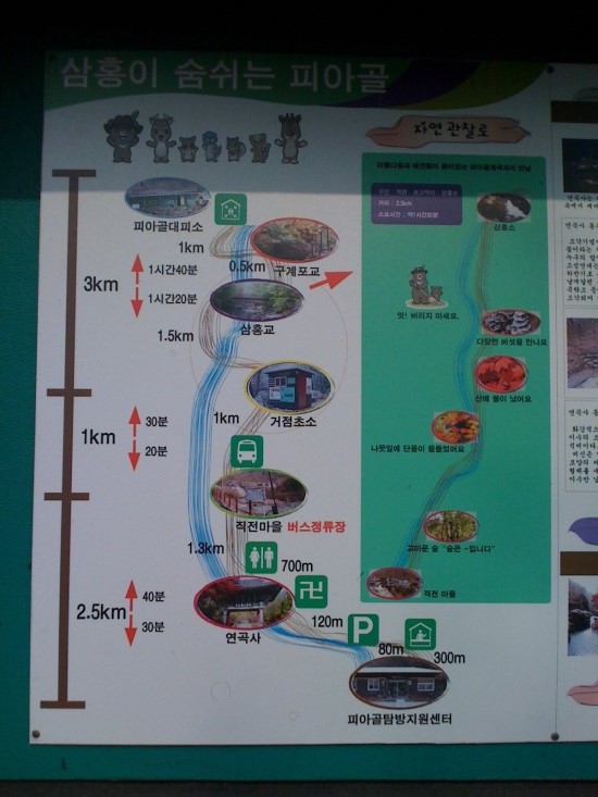 올래기획 이미지
