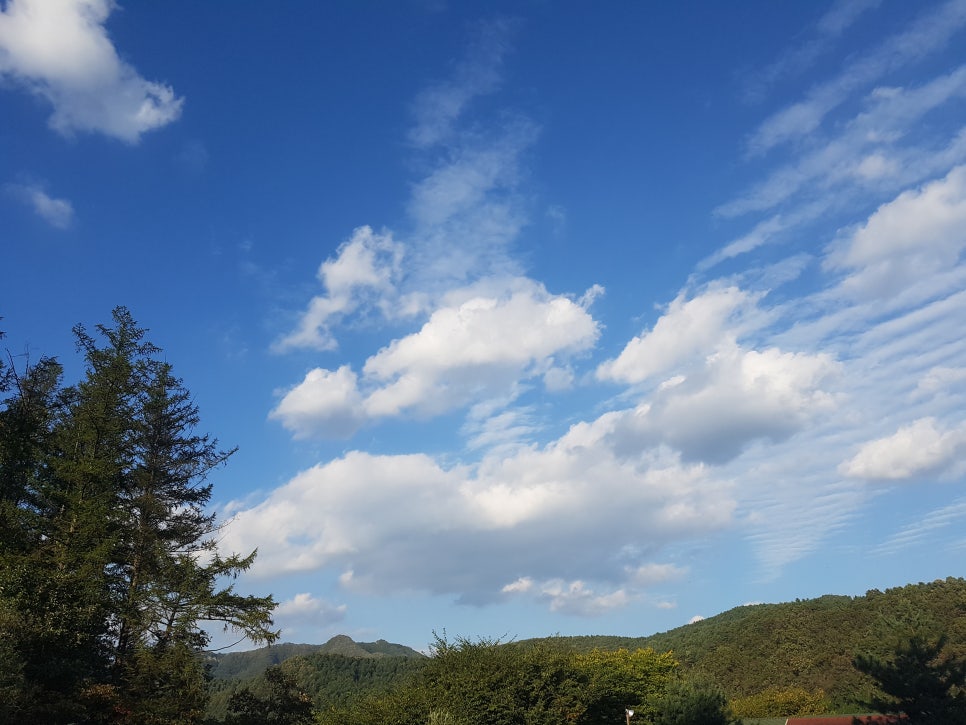 세영전자 이미지