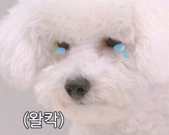 시장국밥 이미지