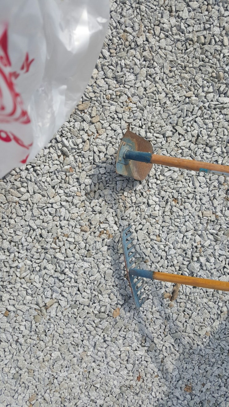 클라츠 이미지