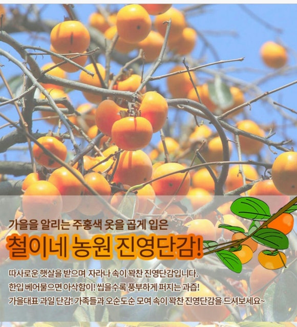 철이네농원 이미지