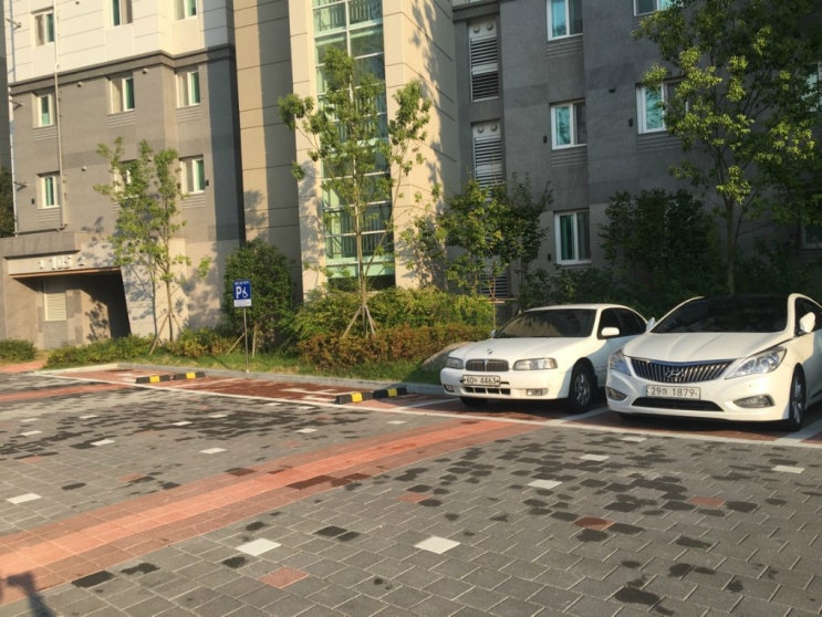 이지렌터카 이미지