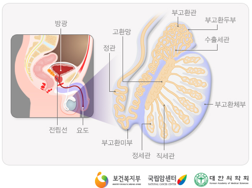 강서비뇨기과의원 이미지