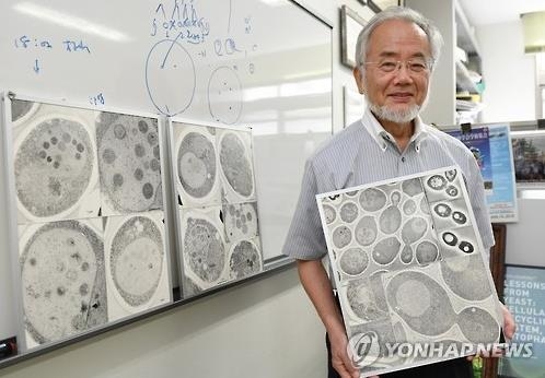 서울부산물 이미지