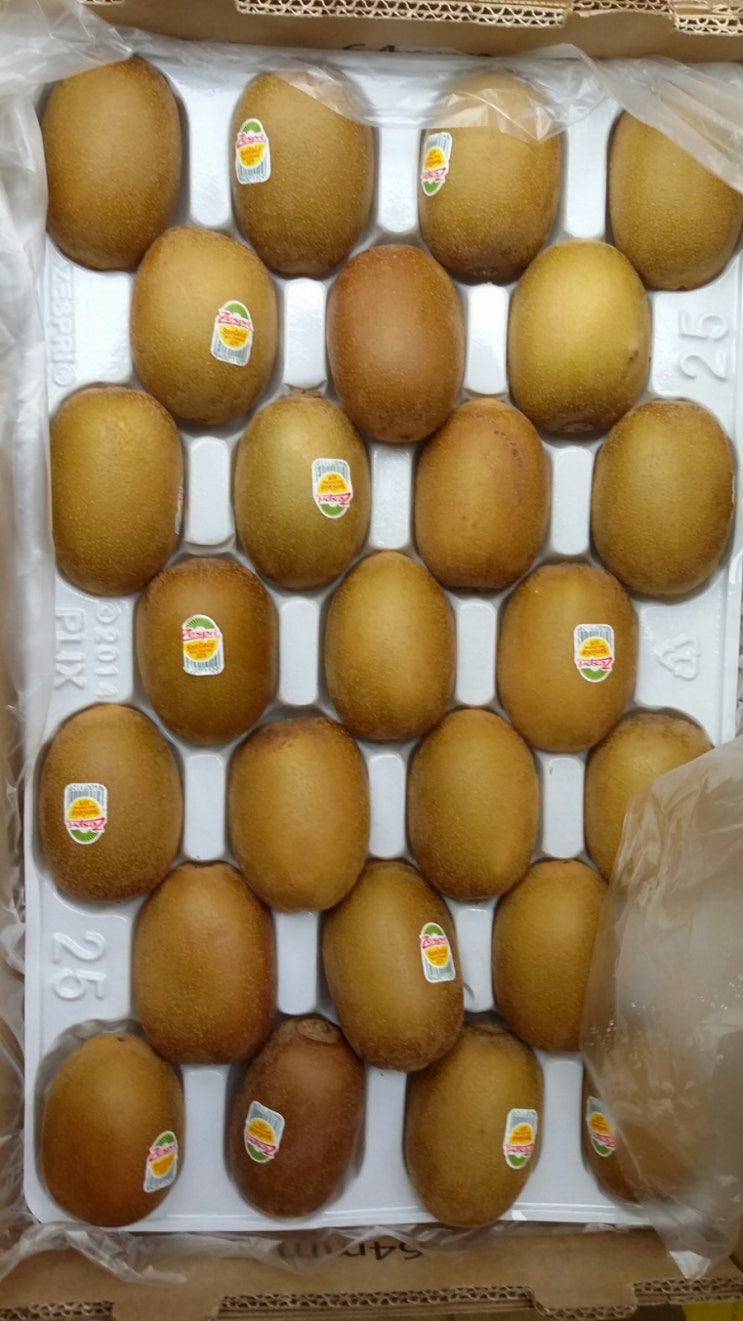통통과일 이미지