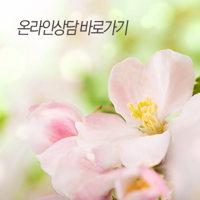 쉬즈위시의원 이미지