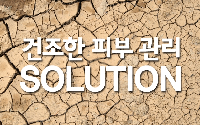 리앤홍 이미지