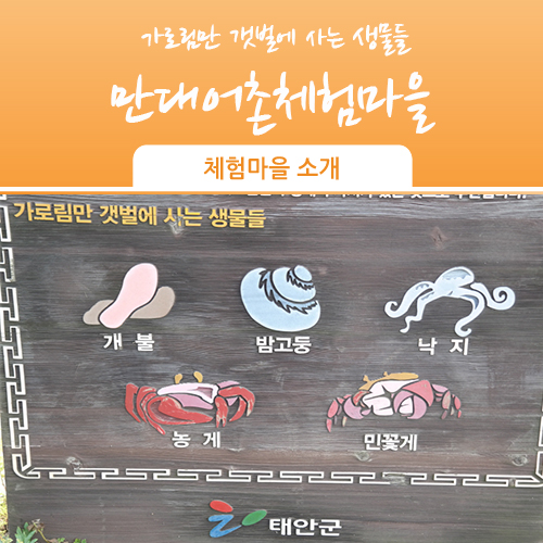 만대어촌체험마을 이미지