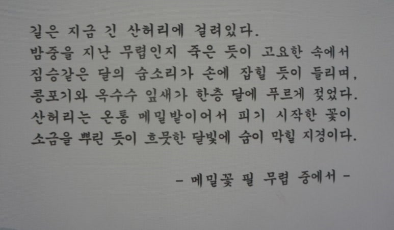 원조포천닭갈비막국수 이미지