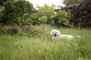 브라이트비전 이미지