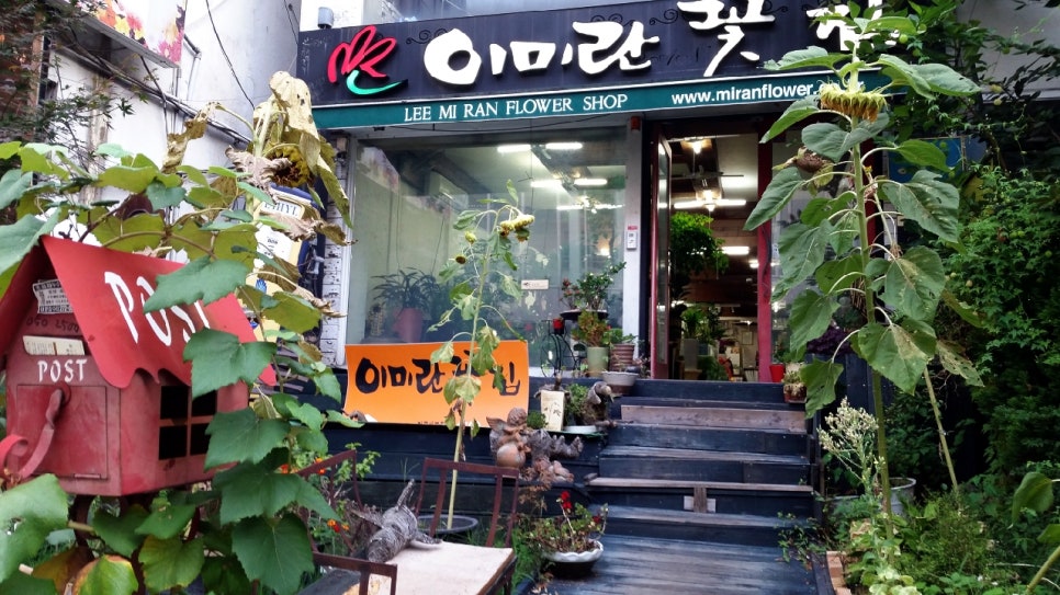 이미란꽃집 이미지