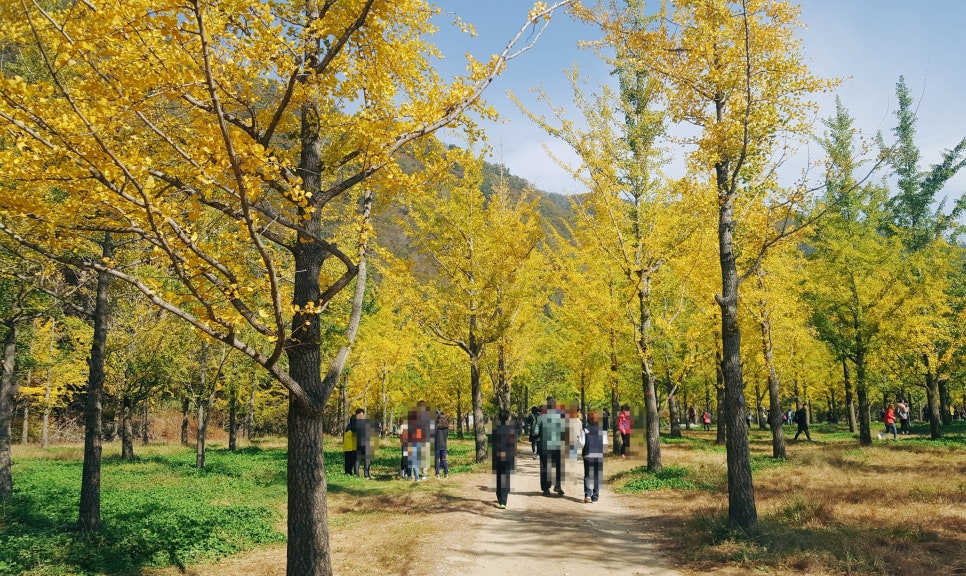 디자인오리엔티드 이미지