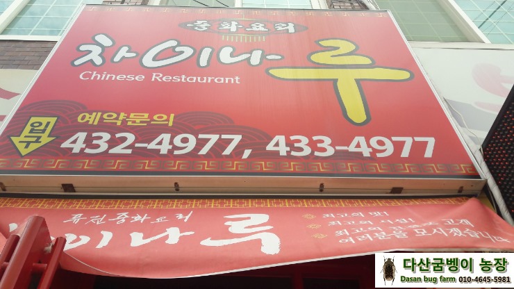 차이나루 이미지