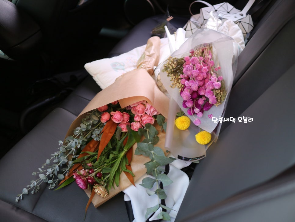 비바리언니 이미지