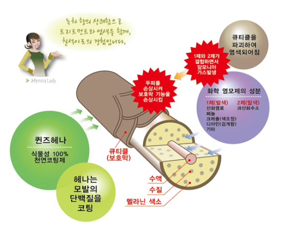 퀸즈헤나교실 이미지