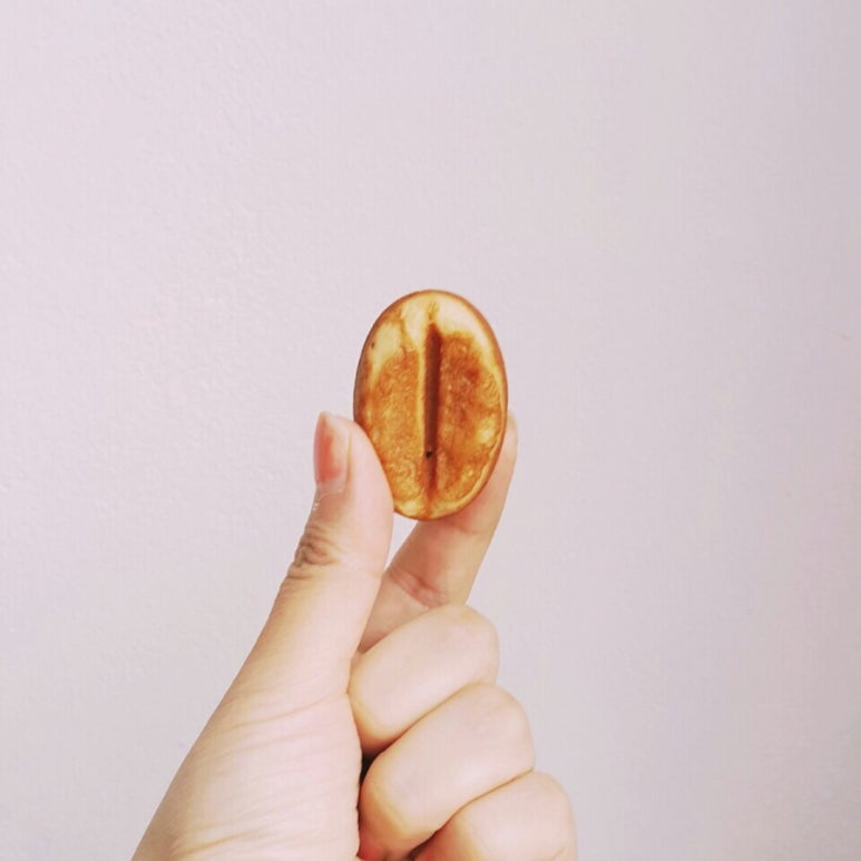 커피콩이야기 이미지