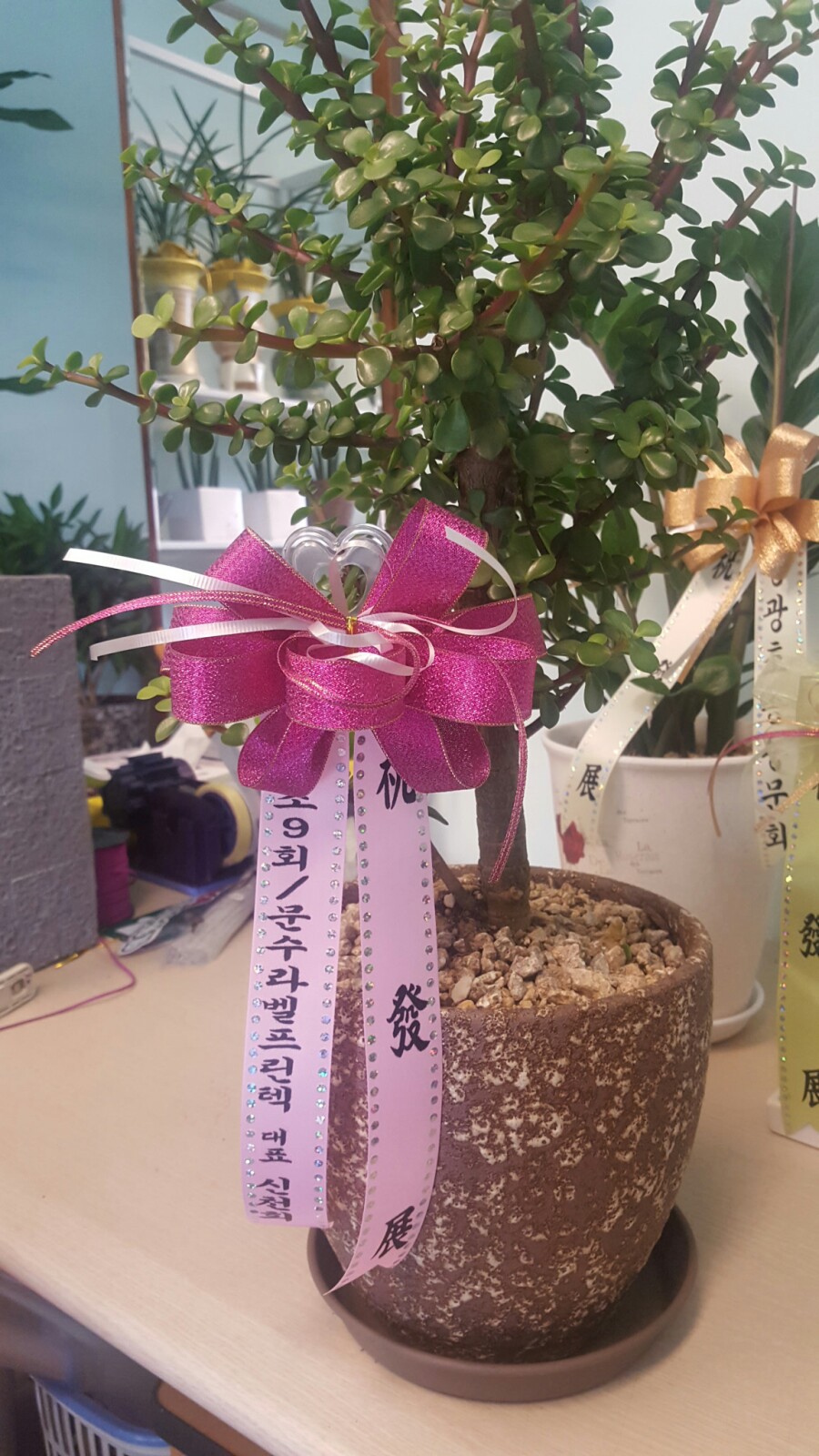 마곡꽃광장 이미지
