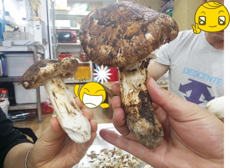 영천생고기식당 이미지