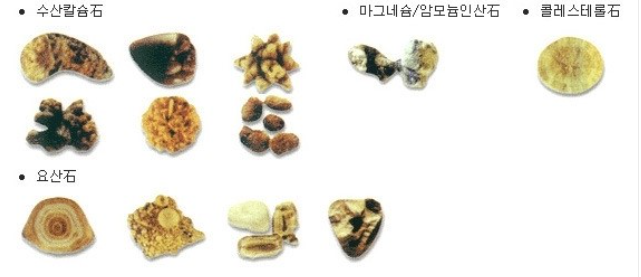정한수비뇨기과 이미지