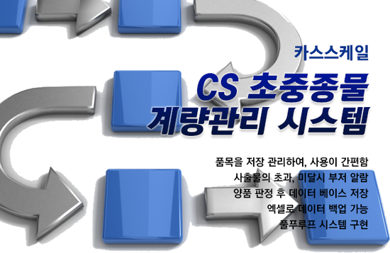 시스템 카스 이미지