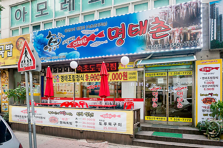 이필배의진짜루명태촌 이미지