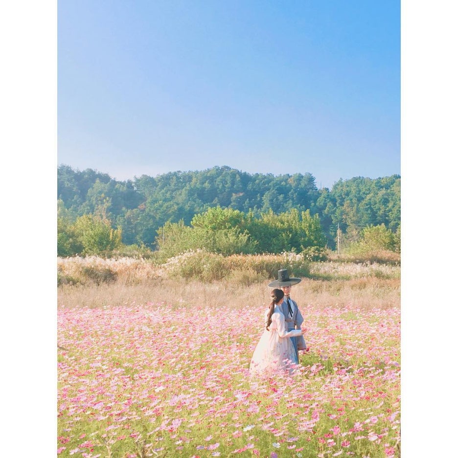 여우별 이미지
