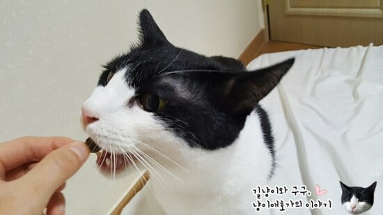 구구스낵 이미지