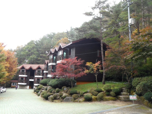 금원산자연휴양림 이미지