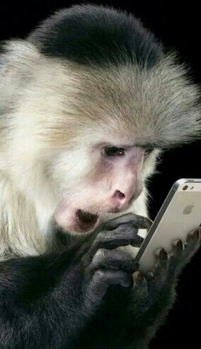 일품닭발 이미지