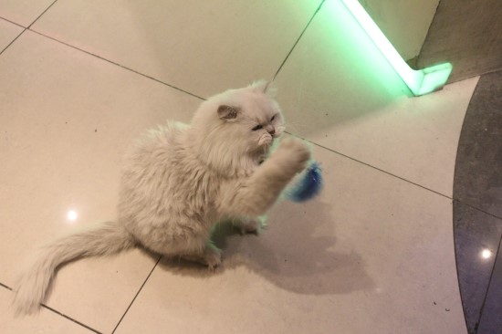 즐거운노래연습장 이미지