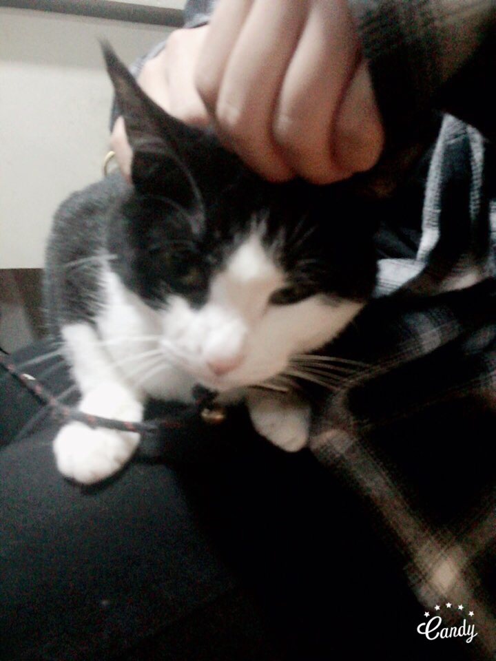 지니PC방 이미지