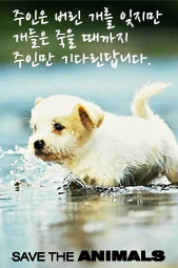 창꼬 이미지
