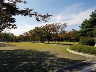 썸카페 이미지