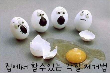 미인본가 이미지